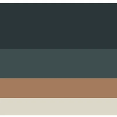 Image for choice number 10